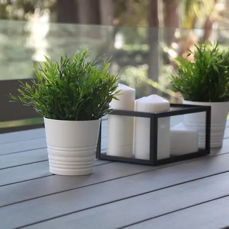 Mon Repos Avenir 公寓 陶尔米纳